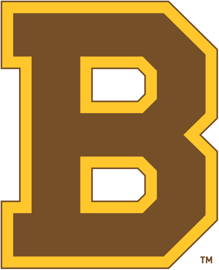 Boston Bruins 1932-1934 Primary Logo iron on transfers for T-shirts